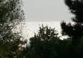 black sea 030