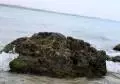 black sea 054