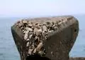 black sea 060
