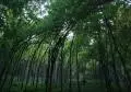 2010 09 05 pestera comarnic 001
