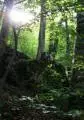 2010 09 05 pestera comarnic 006