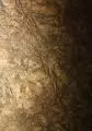 2010 09 05 pestera comarnic 110
