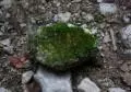 2010 09 05 pestera comarnic 278