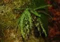 2010 09 05 pestera comarnic 281