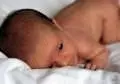 little traveler from space 014