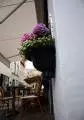 2010 07 25 08 04 germania 414