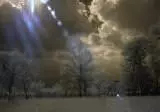 Infra Red Photoghraphy 01