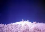 Infra Red Photoghraphy 08