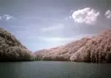 Infra Red Photoghraphy 10