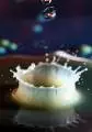 2011 06 12 milk crowns 029