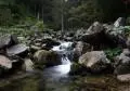 2010 08 28 retezat 050