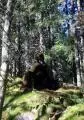 2010 08 28 retezat 073