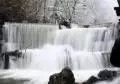 winter on caras severin 047